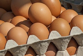 Salmonella wykryta w jajach! GIS wydał pilne ostrzeżenie-10617