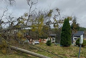 Region: Silny wiatr w Poniedziałek Wielkanocny. Dziesiątki interwencji!