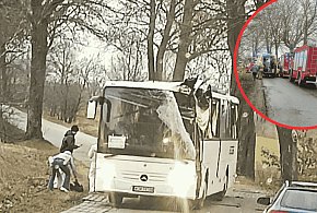 Autobus pracowniczy UDERZYŁ w drzewo. Kierowca ewakuowany