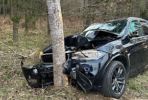 Zwierzyna wbiegła na drogę. BMW uderzyło w drzewo pod Damnicą