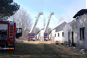 Pożar pustostanu po dawnym PGR. 15 zastępów straży w akcji