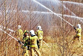 Charnowo 2026. Strażacy ćwiczyli walkę z pożarem lasu [FOTO]