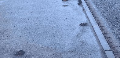 ALARM RADNEGO ws. ścieżki Siemianice-Jezierzyce. Asfalt już pęka!