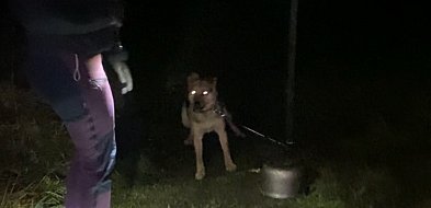 Znęcał się nad Trampusiem i zagłodził króliki. TRAFI DO WIĘZIENIA!