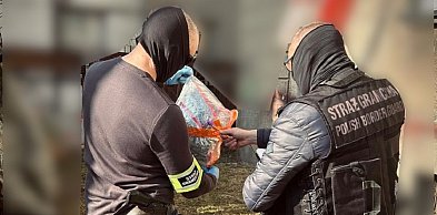 Nalot straży granicznej. Ponad 2 kilogramy narkotyków w słupskim mieszkaniu