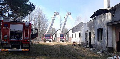 Pożar pustostanu po dawnym PGR. 15 zastępów straży w akcji