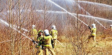 Charnowo 2026. Strażacy ćwiczyli walkę z pożarem lasu [FOTO]