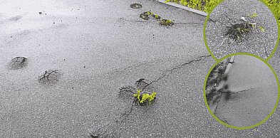 Ścieżka grozy pod Słupskiem. Wybrzuszenia zagrażają, powiat zwleka