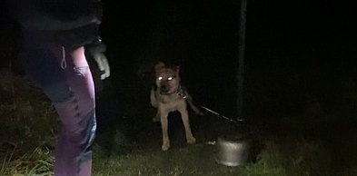 Znęcał się nad Trampusiem i zagłodził króliki. TRAFI DO WIĘZIENIA!