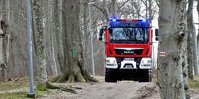 Paralotniarz utknął na drzewie w Dębinie. Szybka interwencja strażaków-10720