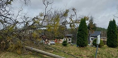 Region: Silny wiatr w Poniedziałek Wielkanocny. Dziesiątki interwencji!