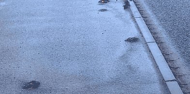 ALARM RADNEGO ws. ścieżki Siemianice-Jezierzyce. Asfalt już pęka!