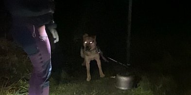 Znęcał się nad Trampusiem i zagłodził króliki. TRAFI DO WIĘZIENIA!