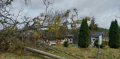 Region: Silny wiatr w Poniedziałek Wielkanocny