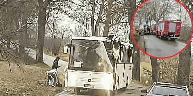 Autobus pracowniczy UDERZYŁ w drzewo