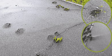 Ścieżka grozy pod Słupskiem. Wybrzuszenia zagrażają