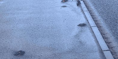 ALARM RADNEGO ws. ścieżki Siemianice-Jezierzyce