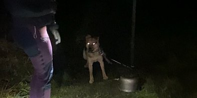 Znęcał się nad Trampusiem. TRAFI DO WIĘZIENIA!