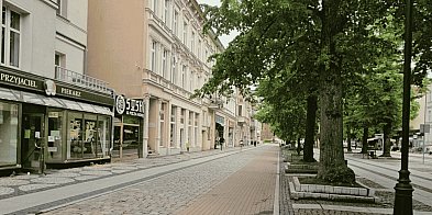 Deszczówka z dachów kamienic ma zazielenić ulicę
