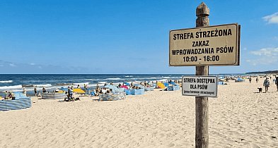 Radni JEDNOMYŚLNI w sprawie psów. Czy powstanie specjalna "psia strefa"?