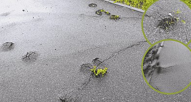 Ścieżka grozy pod Słupskiem. Wybrzuszenia zagrażają, powiat zwleka