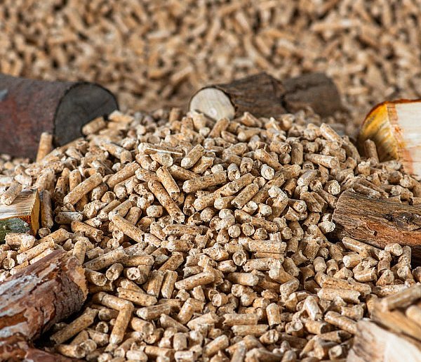 Drożeje popularny opał. Miliony Polaków dostaną po kieszeni tej zimy-9946