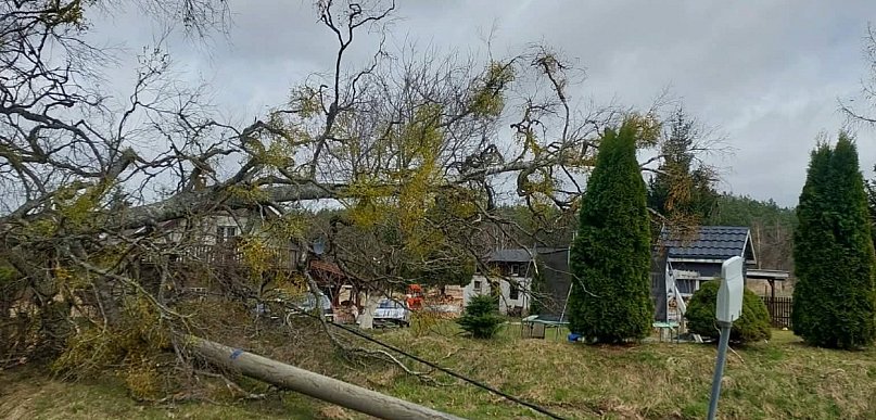 Region: Silny wiatr w Poniedziałek Wielkanocny. Dziesiątki interwencji!