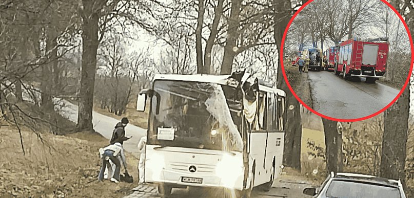 Autobus pracowniczy UDERZYŁ w drzewo. Kierowca ewakuowany