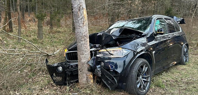 Zwierzyna wbiegła na drogę. BMW uderzyło w drzewo pod Damnicą