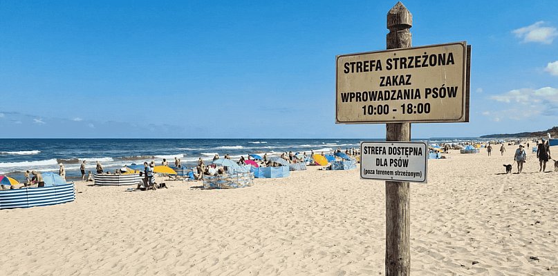 Radni JEDNOMYŚLNI w sprawie psów. Czy powstanie specjalna "psia strefa"?