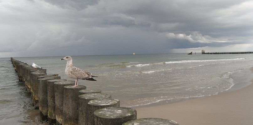 Wielkanoc pod znakiem wichur i burz. Trudna pogoda na Pomorzu i Wybrzeżu
