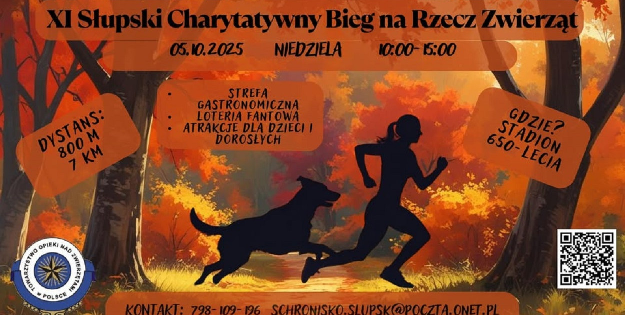 fot. materiały organizatora