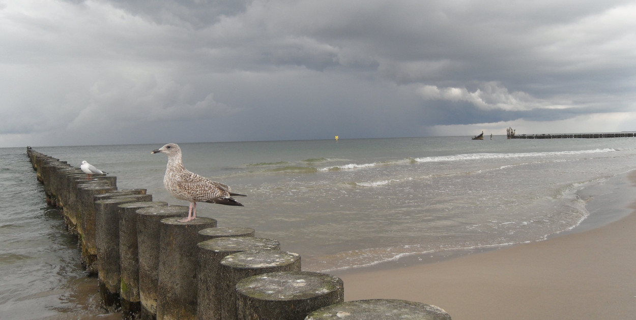 Wielkanoc pod znakiem wichur i burz. Trudna pogoda na Pomorzu i Wybrzeżu
