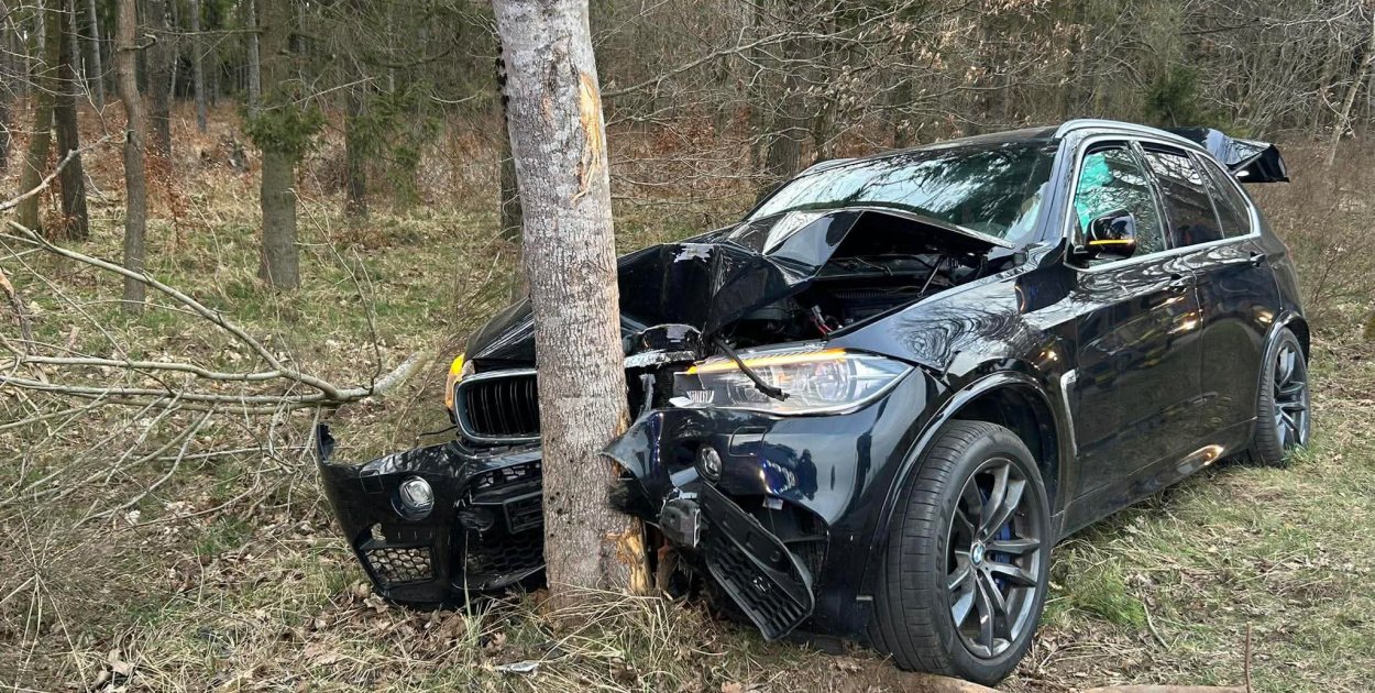 Zwierzyna wbiegła na drogę. BMW uderzyło w drzewo pod Damnicą
